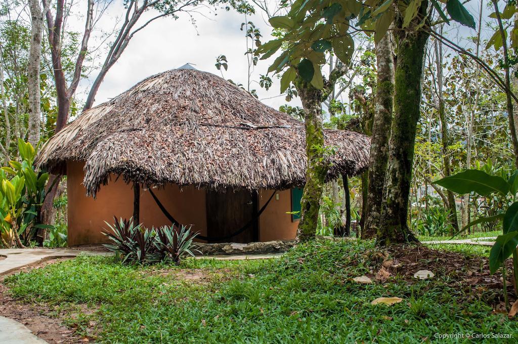 El Colombre Palenque Quarto foto