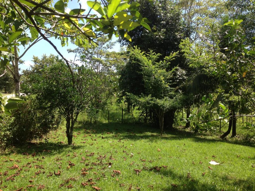 El Colombre Palenque Exterior foto